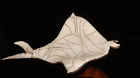 Raie Manta
